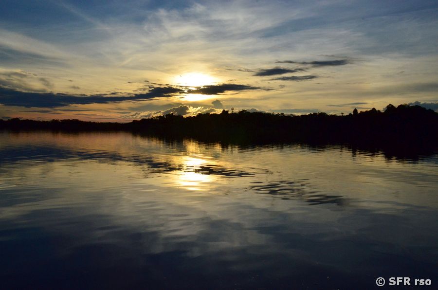 Laguna grande im Nationalpark Cuyabeno, Ecuador