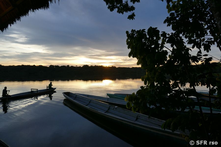 Abendstimmung in der Laguna Grande bei Cuyabeno, Ecuador