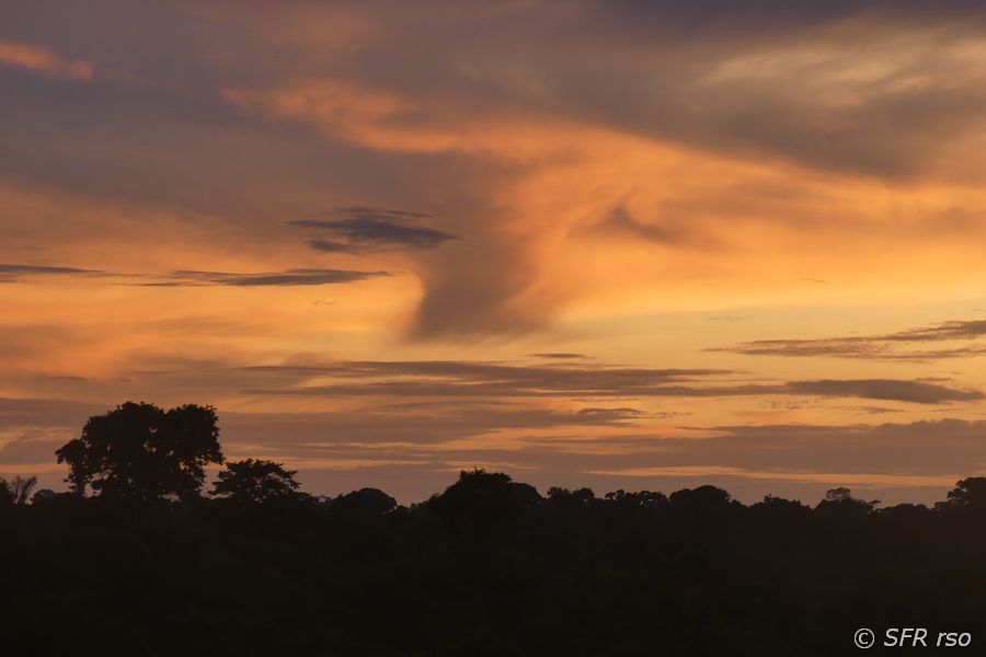 Sonnenaufgang am Río Napo, Ecuador
