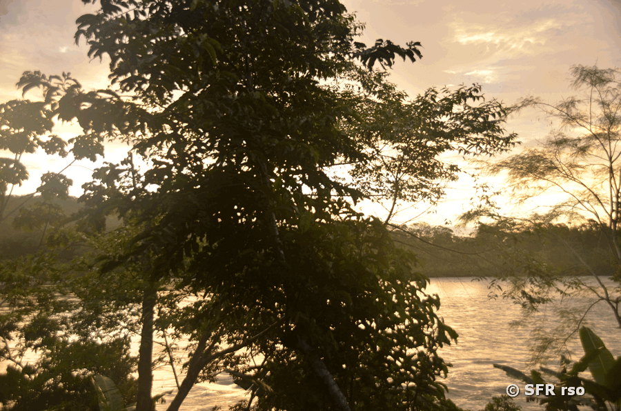 Sonnenaufgang am Río Napo, Ecuador