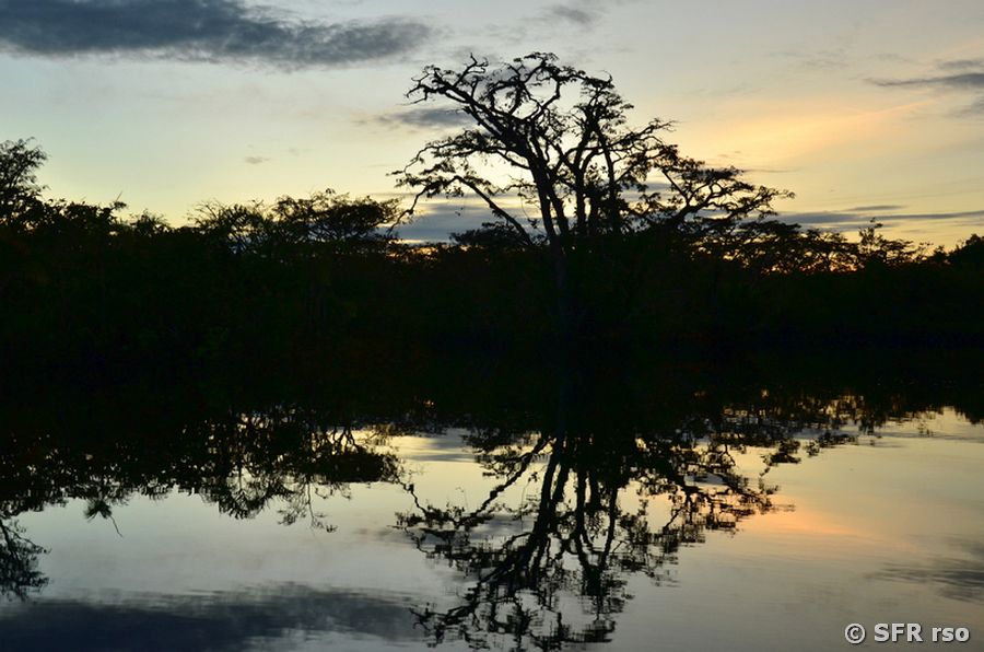 Sonnenuntergang im Nationalpark Cuyabeno, Ecuador