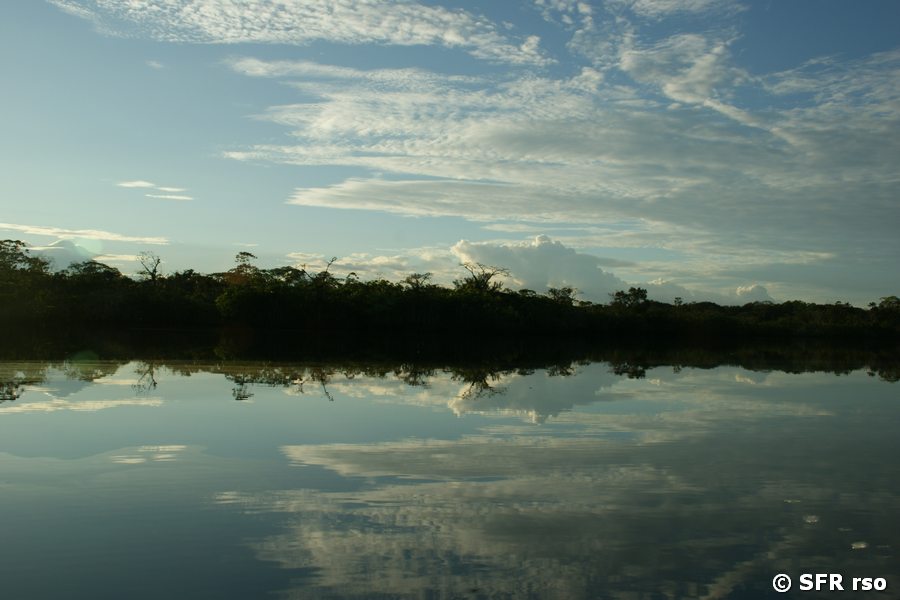 Wolkenspiegelung im Nationalpark Cuyabeno, Ecuador