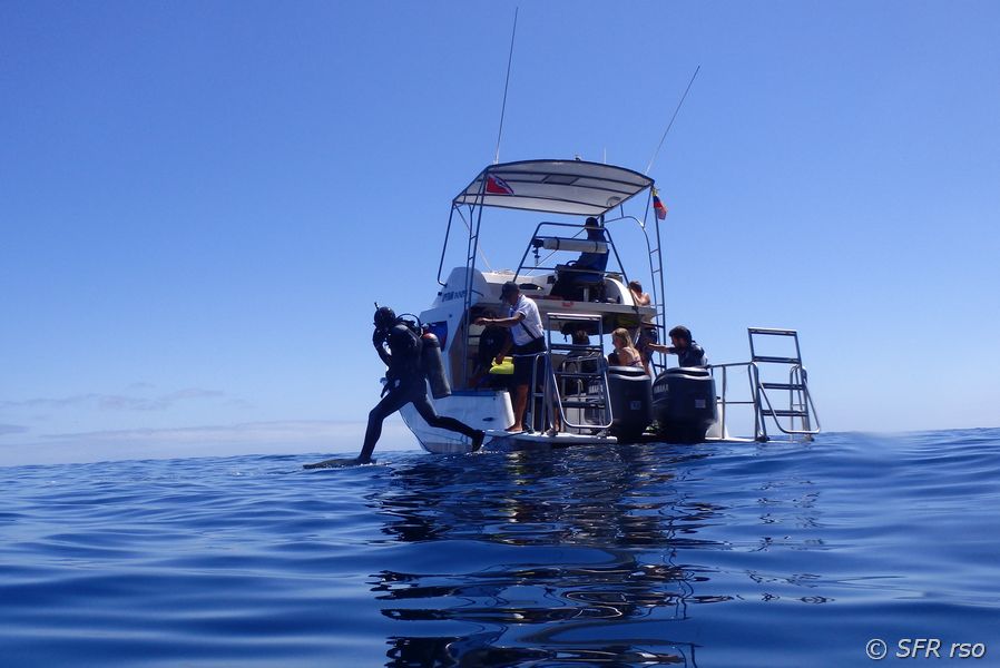 Tauchgang von der Yacht vor Galápagos