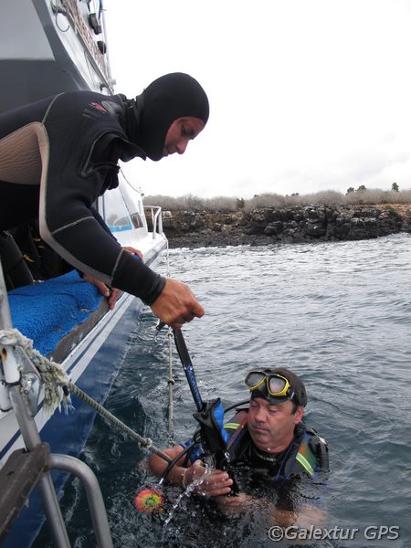 Tauchermundstück Reinigung im Wasser, Galapagos
