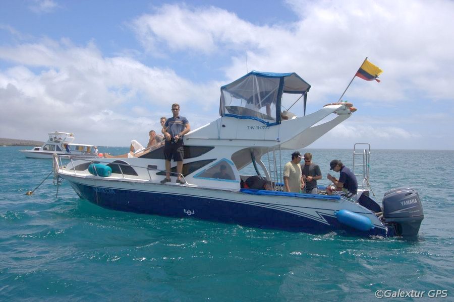 Tagesausflug mit Tauchyacht, Galapagos