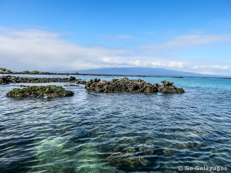 Elizabeth Bay, Galapagos