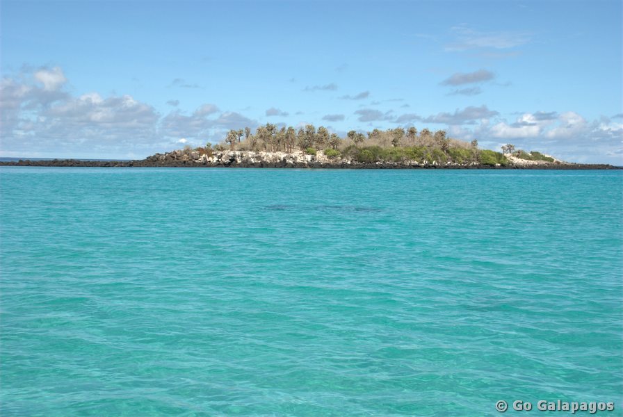 Elizabeth Bay, Galapagos