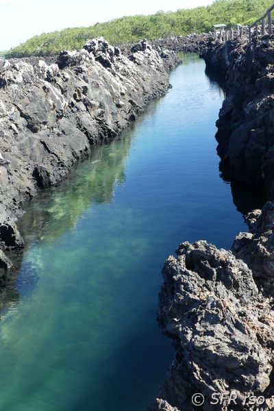 Lavatunnel in Las Tintoreras, Galapagos