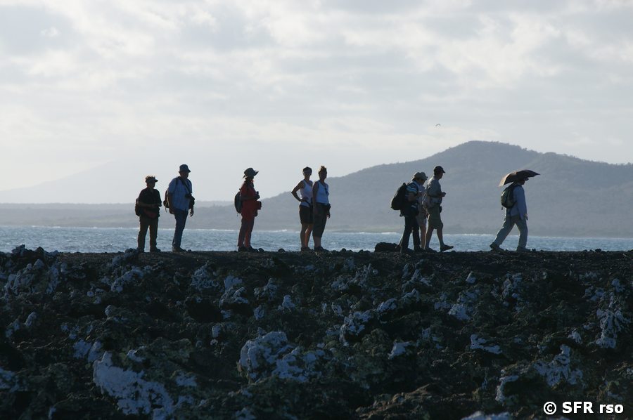 Wanderung in Las Tintoreras, Galapagos