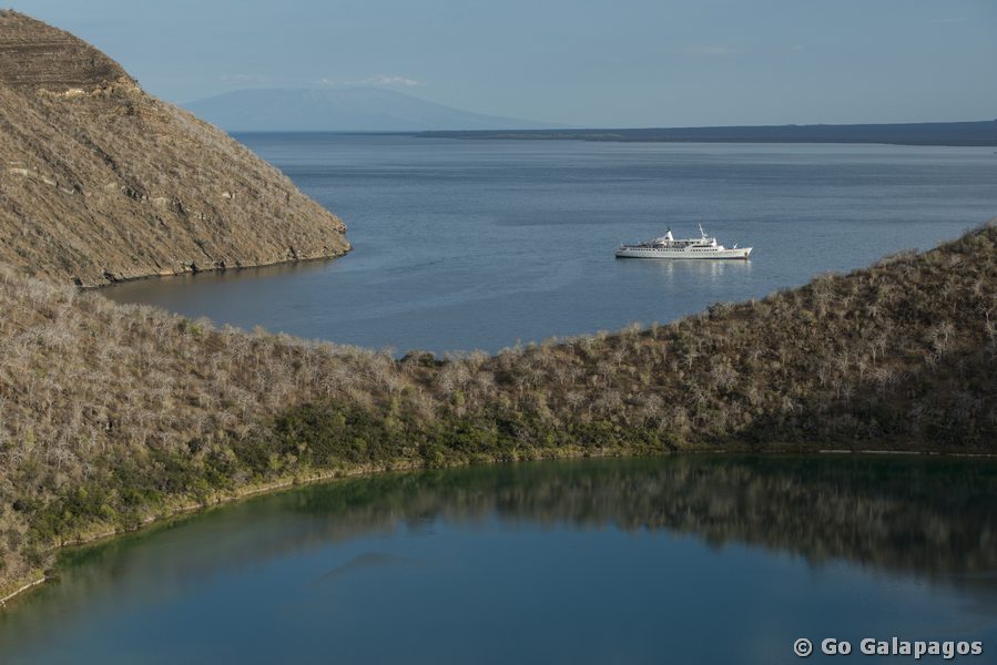 Tagus Cove Isabela Insel, Galapagos