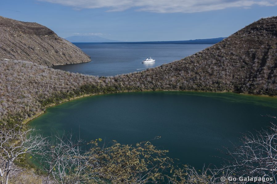 Isabela Tagus Cove Kratersee Galapagos
