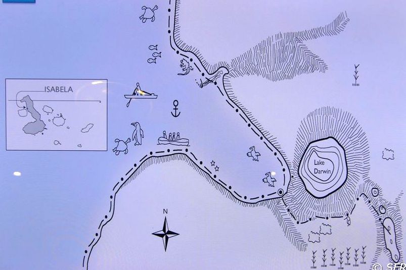 Karte von Tagus Cove, Galapagos