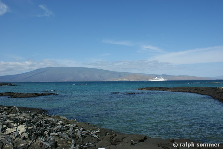 Vulkan in Urbina Bay, Galapagos