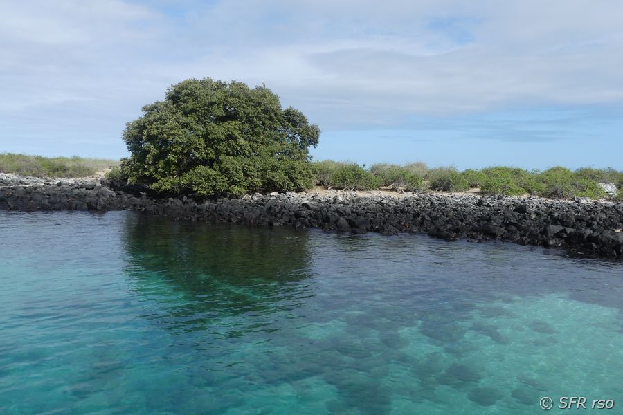 Isla Lobos San Cristóbal, Galapagos