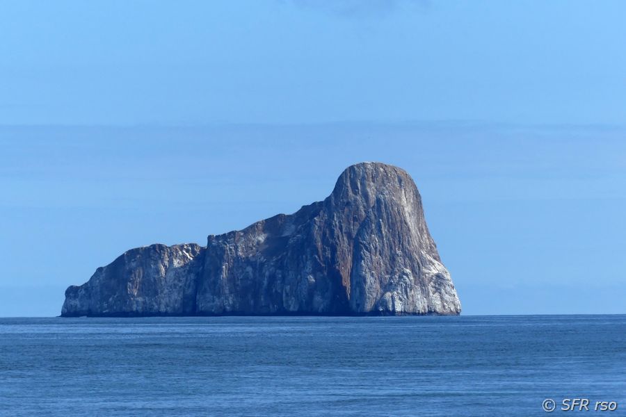Leon Dormido Fels, Galapagos