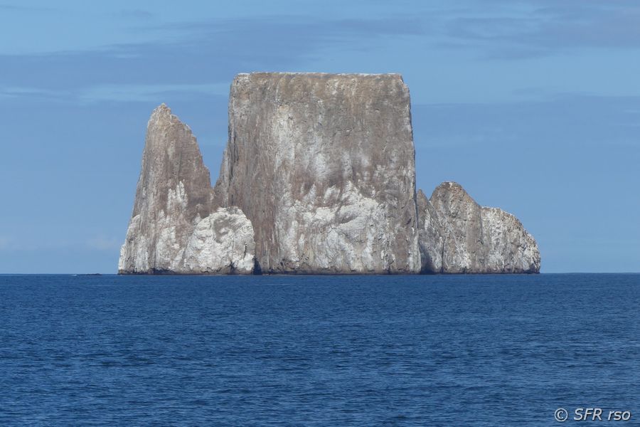 Leon Dormido, Galapagos