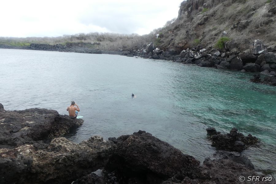 Schnorchelbucht Cerro Tijeretas, Galapagos