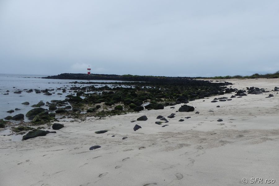 Sandstrand von Baqueriuo Moreno, Galapagos