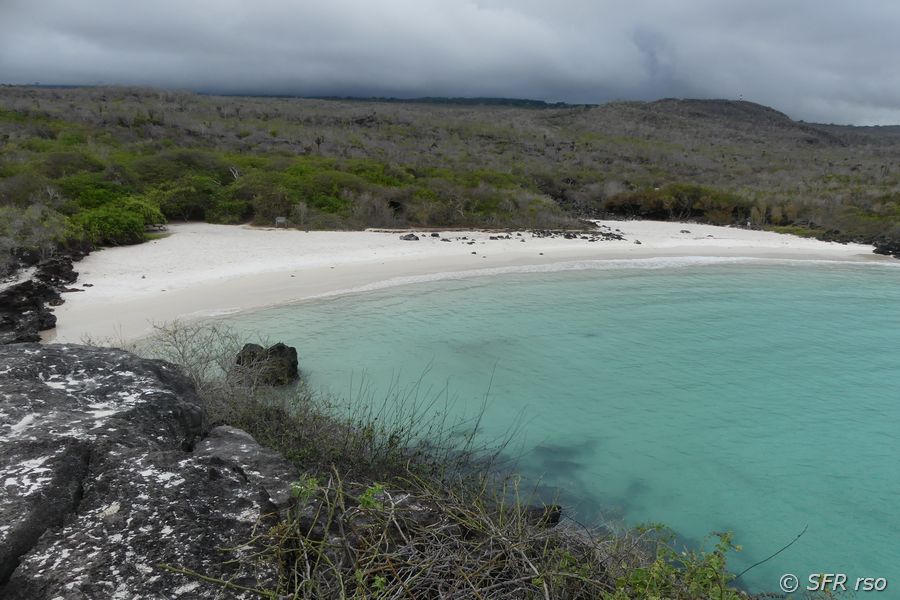 Strandbucht in Baquerizo Moreno, Galapagos