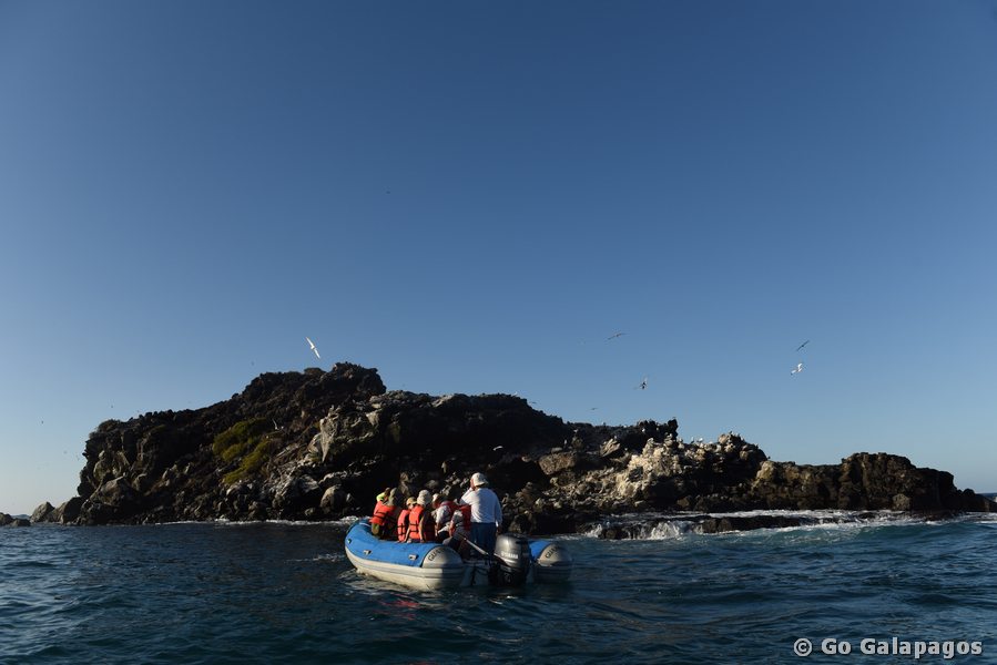 Tuffsteininsel in Punta Pitt, Galapagos