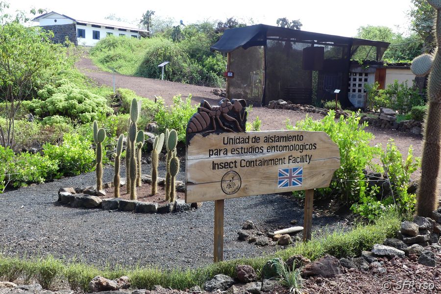 Insektenstudien in der Charles Darwin Station, Galapagos