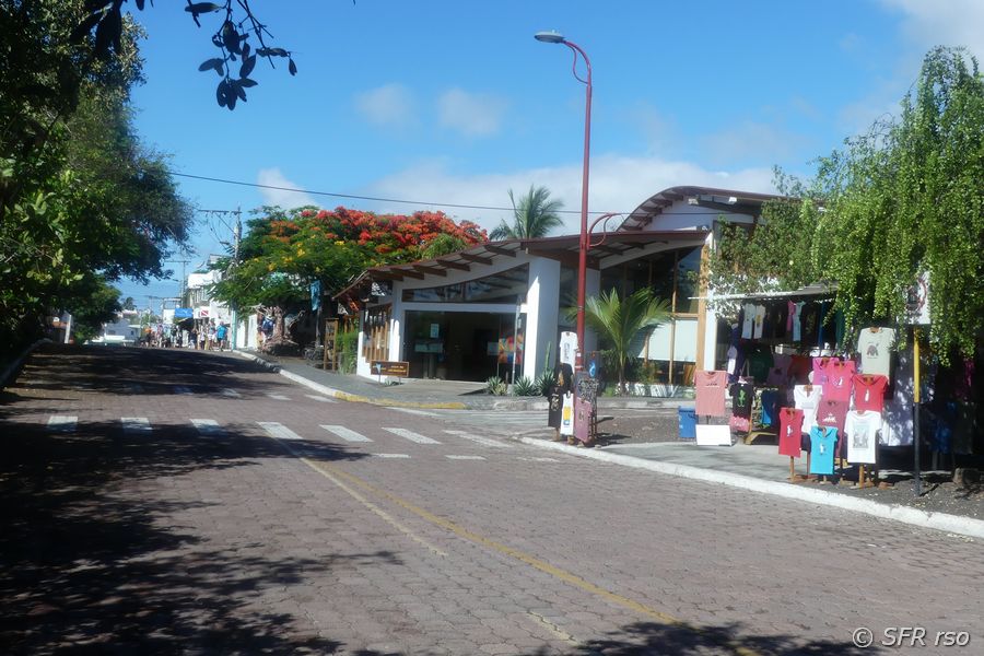 Weg zur Charles Darwin Station, Galapagos