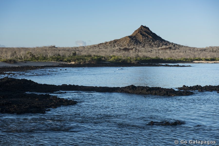 Dragon Hill auf Santa Cruz, Galapagos