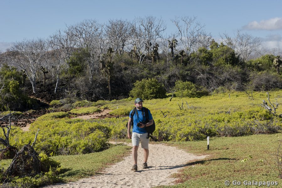 Pfad am Dragon Hill auf Santa Cruz, Galapagos