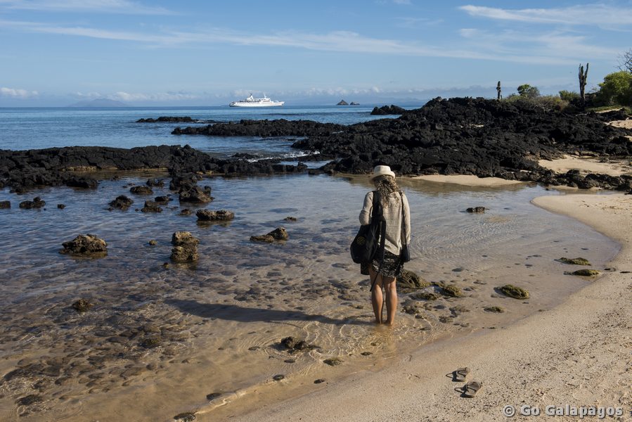 Strand am Dragon Hill auf Santa Cruz, Galapagos