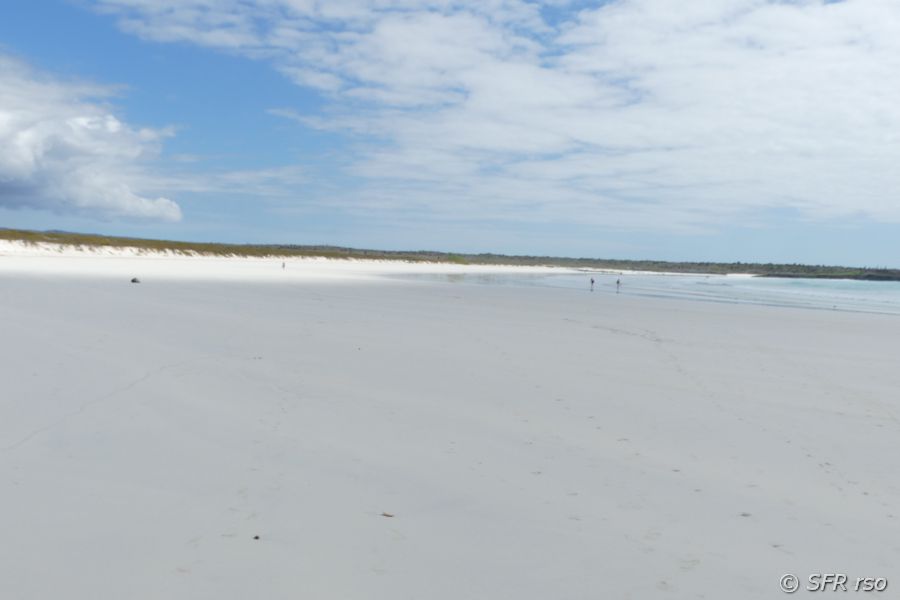 Strand vor Santa Cruz, Galapagos