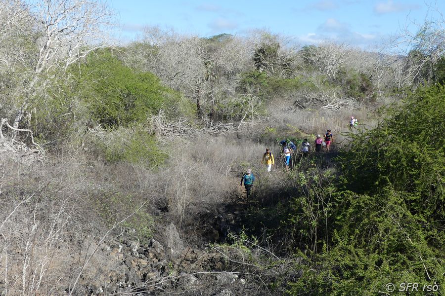 Wanderung zum Turtle Bay, Galapagos